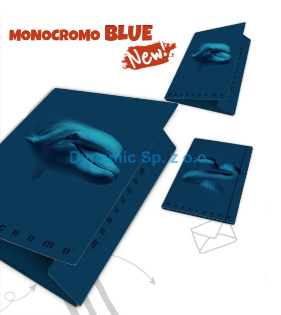 Teczka kartonowa z gumką Pigna Monocromo Blue